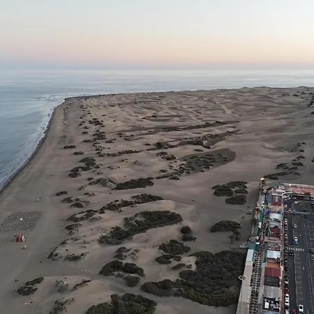 Apartment El Paseo *