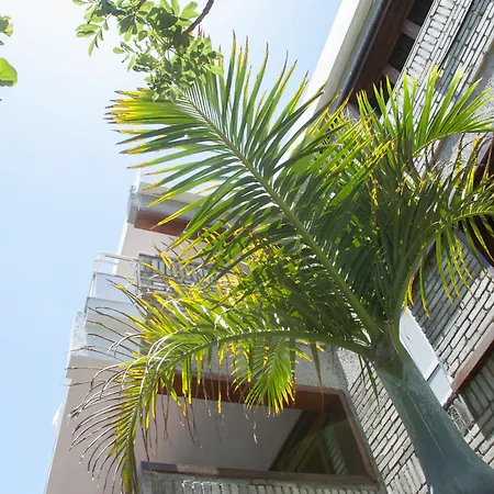 El Paseo * Playa del Ingles (Gran Canaria)