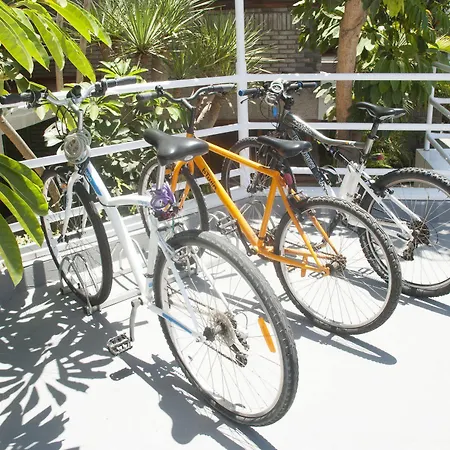 Apartmán El Paseo